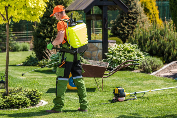 Best Lawn Pest Control  in Rosepine, LA